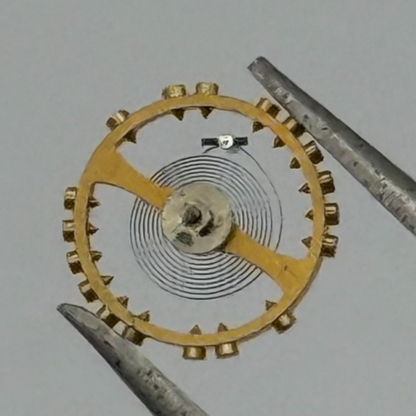 AS 976 1012 Balance Wheel Complete And Spring 29 M Watch Movement Parts NOS