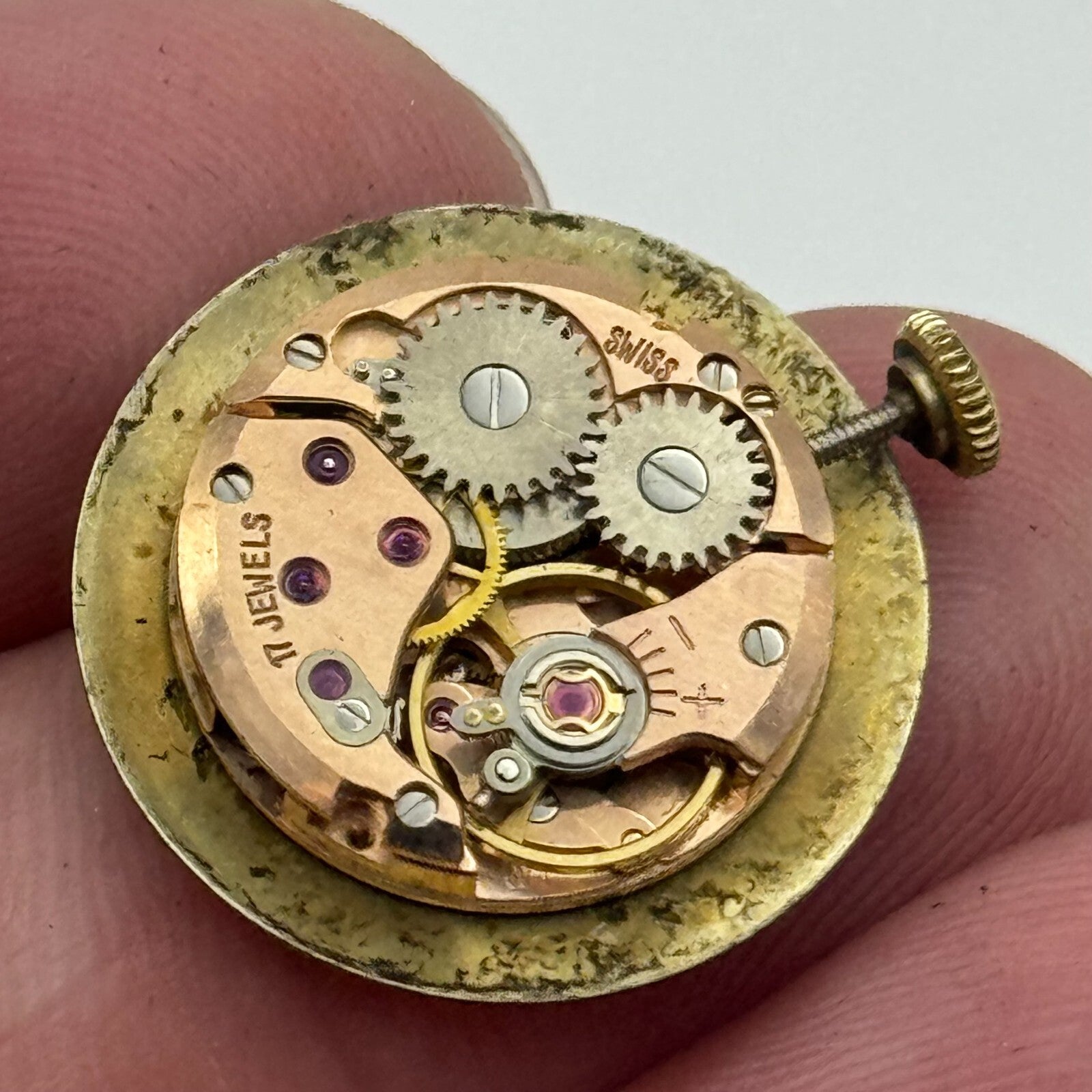 19.7mm Running Waltham ETA 2412 Ladies Manual Wind Swiss Watch Movement PARTS