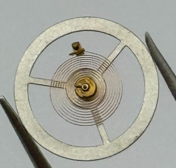 EB 8800 Balance Wheel Complete And Spring 12’’’ 1309 Watch Movement Parts NOS