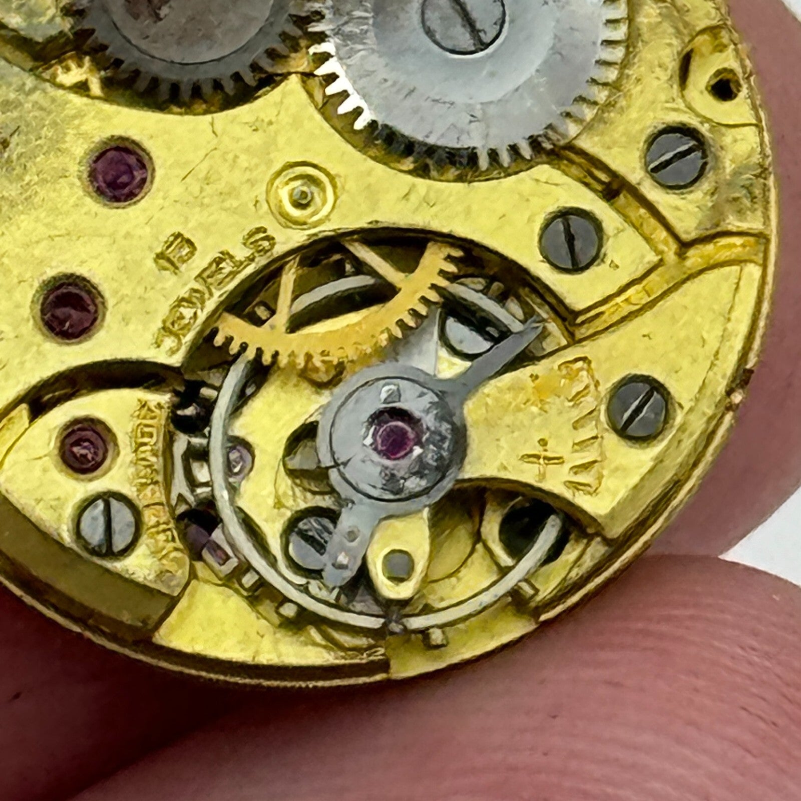 19.7mm Thomas Russell & Son Revue Manual Wind Watch Movement Swiss Vintage PARTS