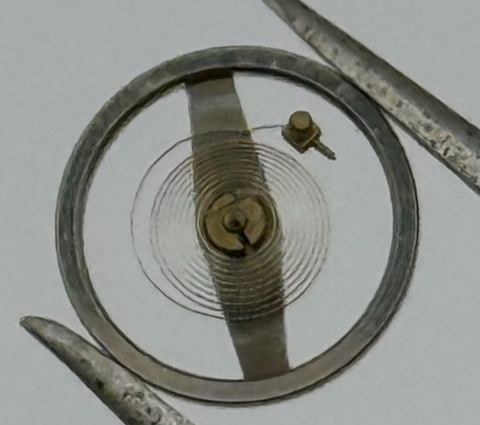 Brac 2021 Balance Wheel Complete And Spring  5¼’’’ 69 M Watch Movement Parts 