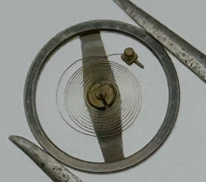 Brac 2021 Balance Wheel Complete And Spring  5¼’’’ 69 M Watch Movement Parts 