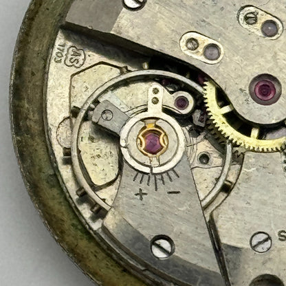 25.9mm Men's AS 1703 A Schild Date Dial Manual Wind Swiss Watch Movement PARTS