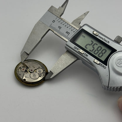 25.9mm Men's AS 1703 A Schild Date Dial Manual Wind Swiss Watch Movement PARTS