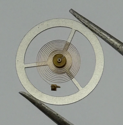 EB 8800 Balance Wheel Complete And Spring 12’’’ 1309 Watch Movement Parts NOS