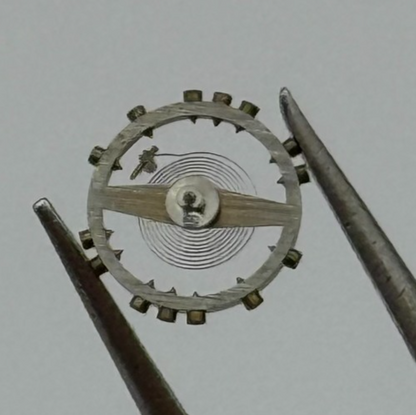 AS 976 1012 Balance Wheel Complete And Spring 29 M Watch Movement Parts NOS