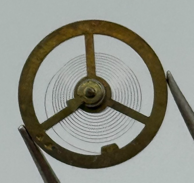 Lapanouse Rego 130 140 Balance Complete DGT Watch Movement Parts Vintage NOS