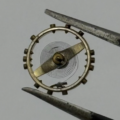 AM 115 Balance Wheel Complete And Spring 5 1/2’’’ Renata Watch Movement Parts