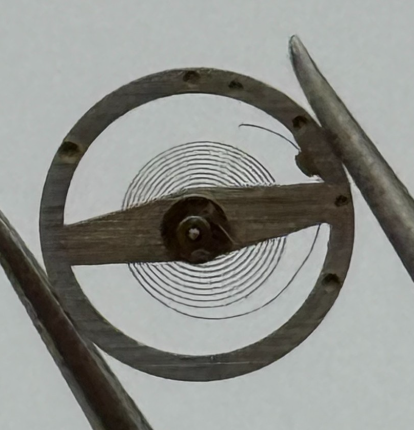 Brac 2021 Balance Wheel Complete And Spring  5¼’’’ 69 M Watch Movement Parts 