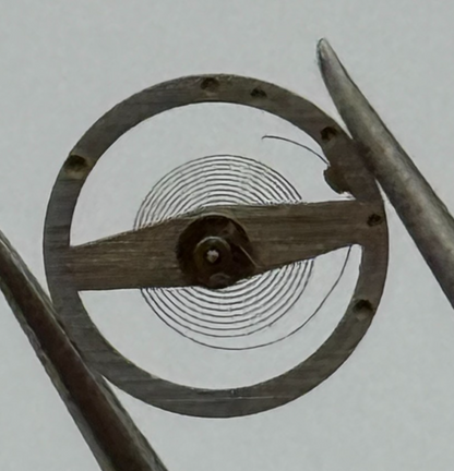 Brac 2021 Balance Wheel Complete And Spring  5¼’’’ 69 M Watch Movement Parts 