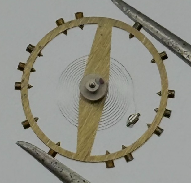 Felsa 690 1560 Balance Complete Renata 189 M Watch Movement Parts Vintage NOS