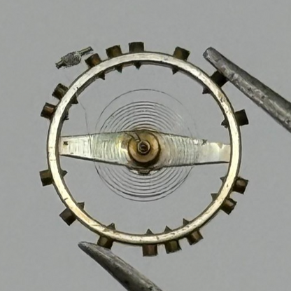 FEF 270 Balance Wheel Complete And Spring 5¼''' 173 M Watch Movement Parts 