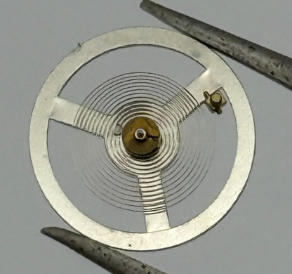 LSH 1262 Balance Wheel Complete And Spring 12’’’ Rosk  1855 Watch Movement Parts