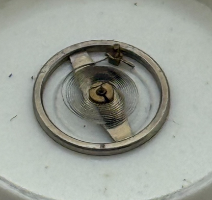 BRAC 2021 2051 Balance Wheel Complete And Spring 69 Watch Movement Parts NOS