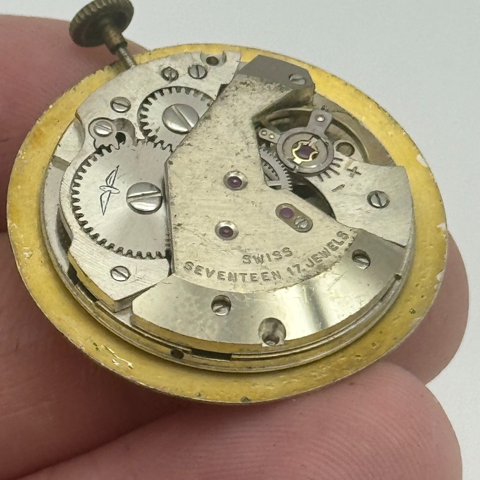 25.9mm Rotary AS 1795 A Schild Manual Wind Swiss Watch Movement PARTS SPARES