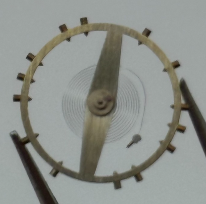 EB 2500 2520 Balance Complete Ord + Inca Renata 1719 M Watch Movement Parts