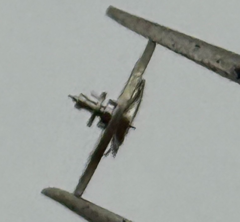 EB 1612 Balance Wheel Complete And Spring 6¾–8’’’ 950 Watch Movement Parts 