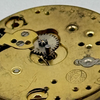 IWC Probus Schafusia Patent 55231 Watch Movement Vintage Swiss Parts 19.7mm