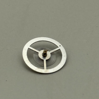 EB 8800 Balance Wheel Complete And Spring 12’’’ 1309 Watch Movement Parts 