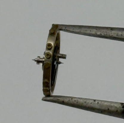 AS 976 1012 Inca Balance Wheel Complete And Spring 532 M Watch Movement Parts