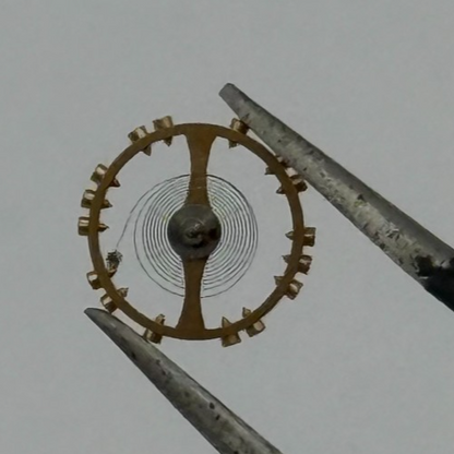 AS 976 1012 Balance Wheel Complete And Spring 29 M Watch Movement Parts NOS