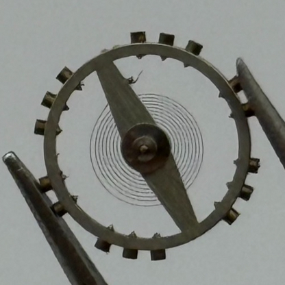 Derby 40 Balance Wheel Complete And Spring 8 3/4’’’ 102 M Watch Movement Parts