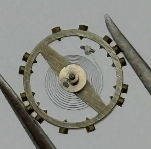 AS 976 1012 Balance Wheel Complete And Spring  29 M Watch Movement Parts NOS