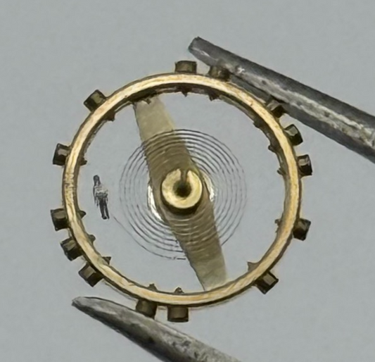 AS 976 1012 Balance Wheel Complete And Spring  29 M Watch Movement Parts NOS