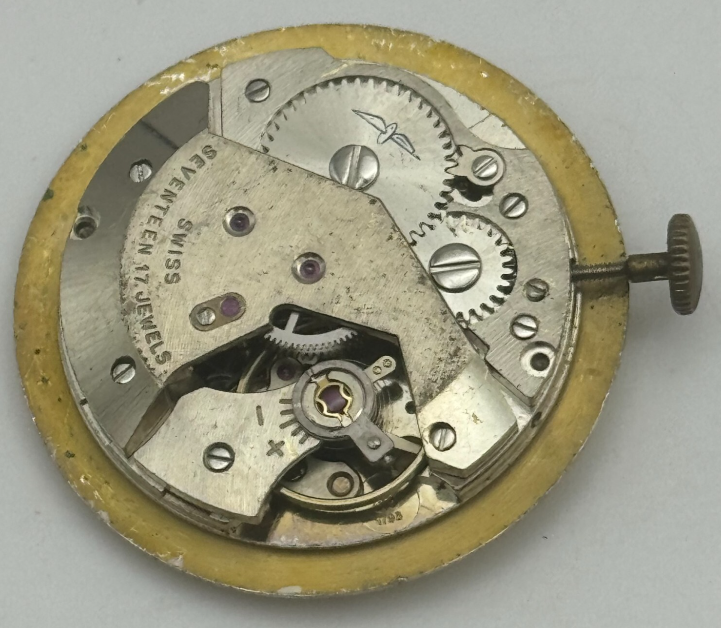 25.9mm Rotary AS 1795 A Schild Manual Wind Swiss Watch Movement PARTS SPARES