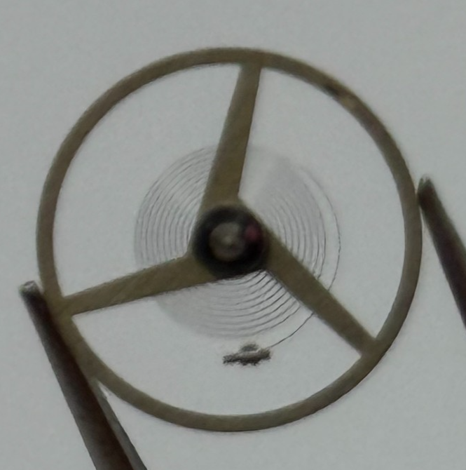 AS 1900 1906 Balance Wheel Complete And Spring 1577 M Watch Movement Parts NOS