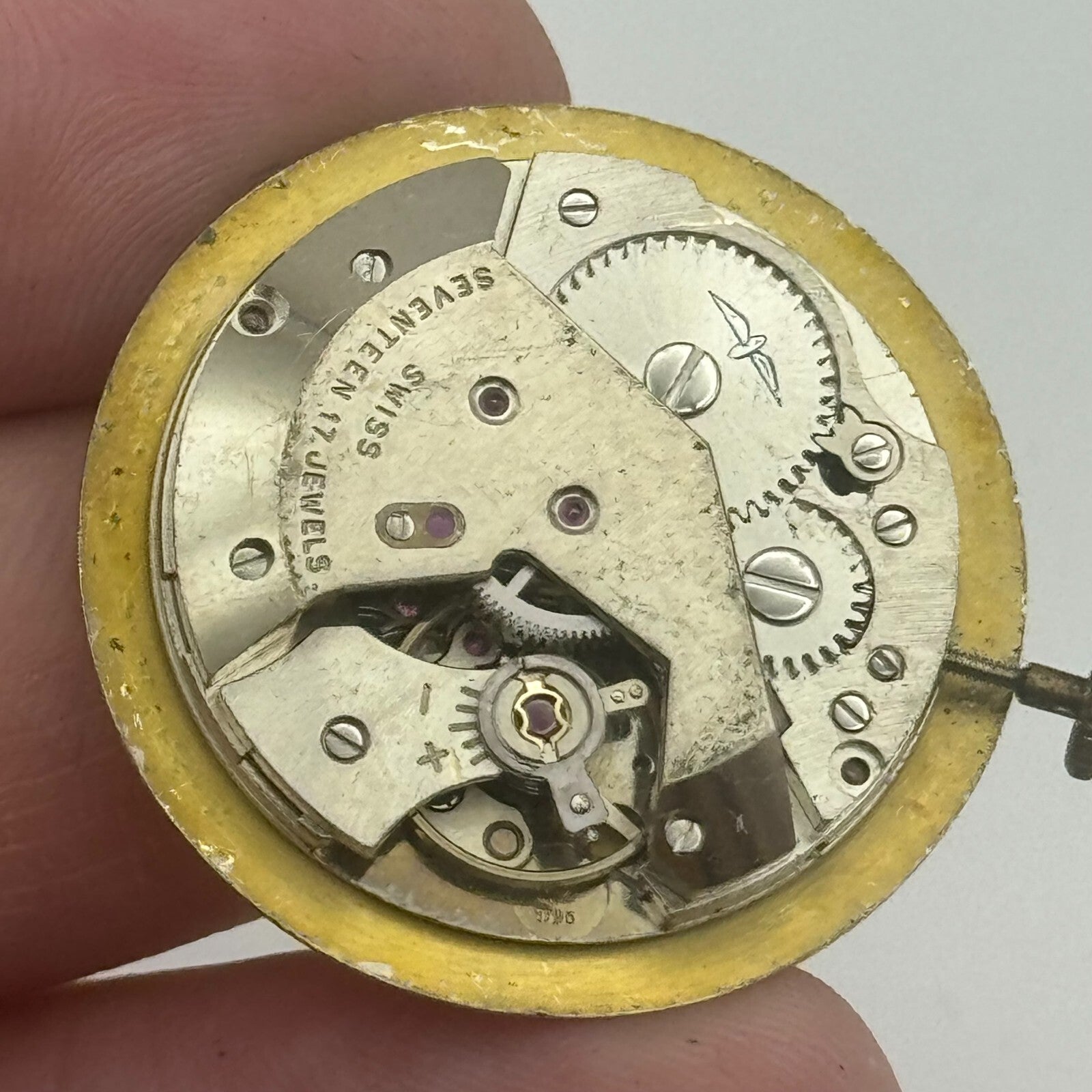 25.9mm Rotary AS 1795 A Schild Manual Wind Swiss Watch Movement PARTS SPARES