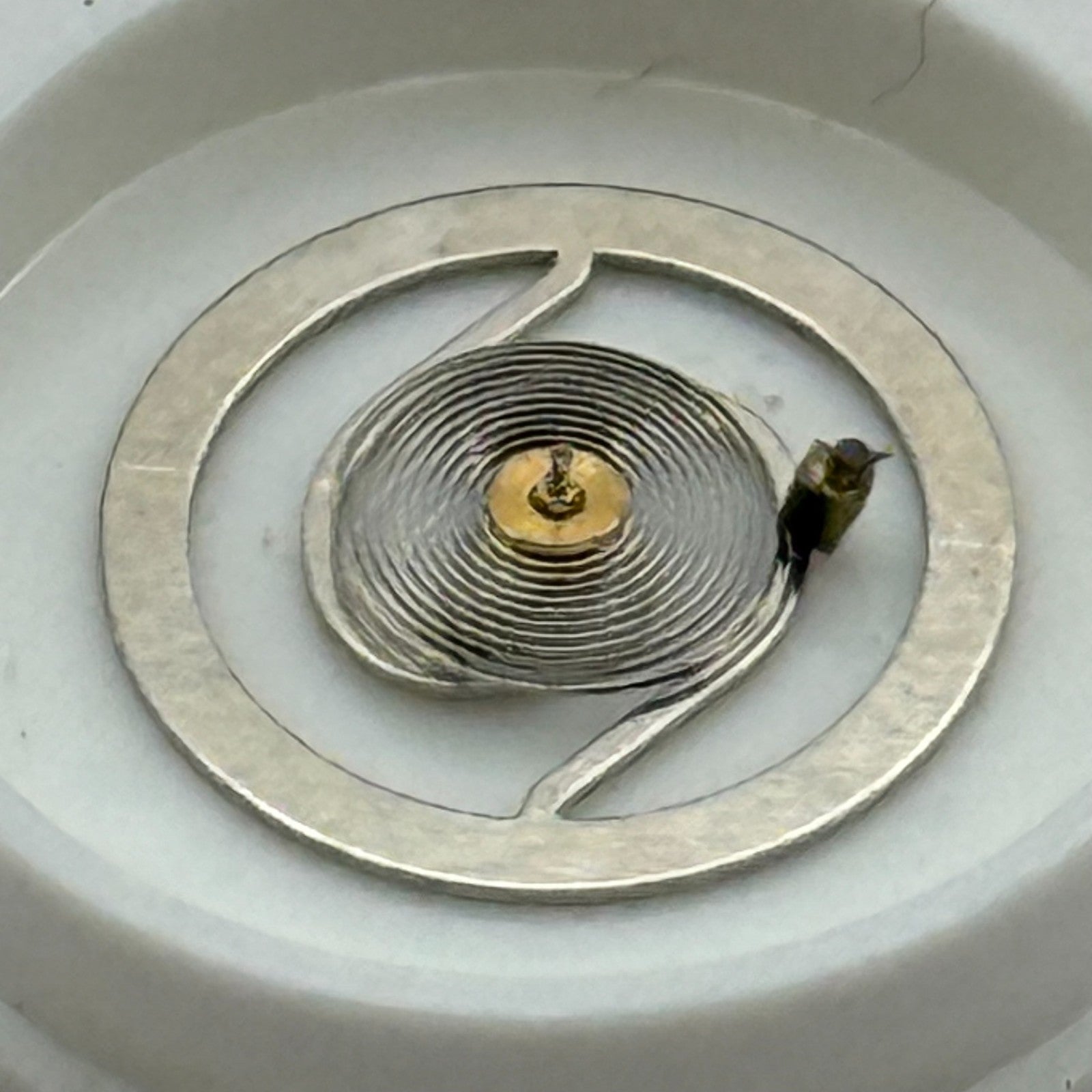 EB 8800 Balance Wheel Complete And Spring 12’’’ 1309 Watch Movement Parts NOS