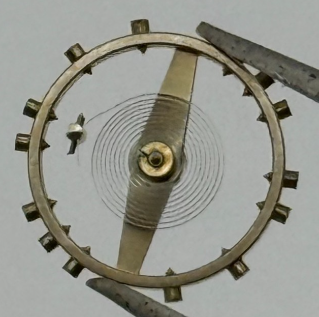 AS 984 Balance Wheel Complete And Spring 31 M Watch Movement Parts NOS
