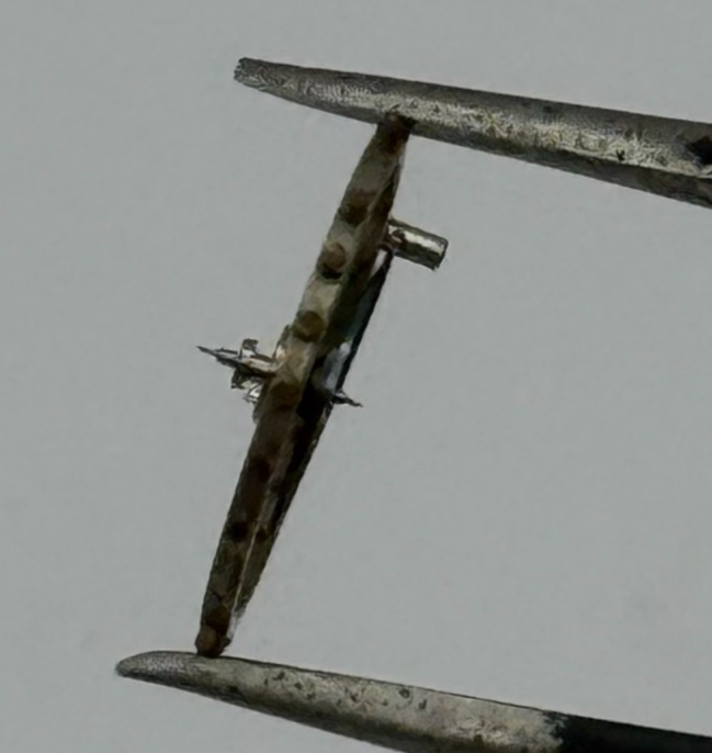 FHF 552 Balance Complete Inca Renata 673 M Watch Movement Parts Vintage NOS