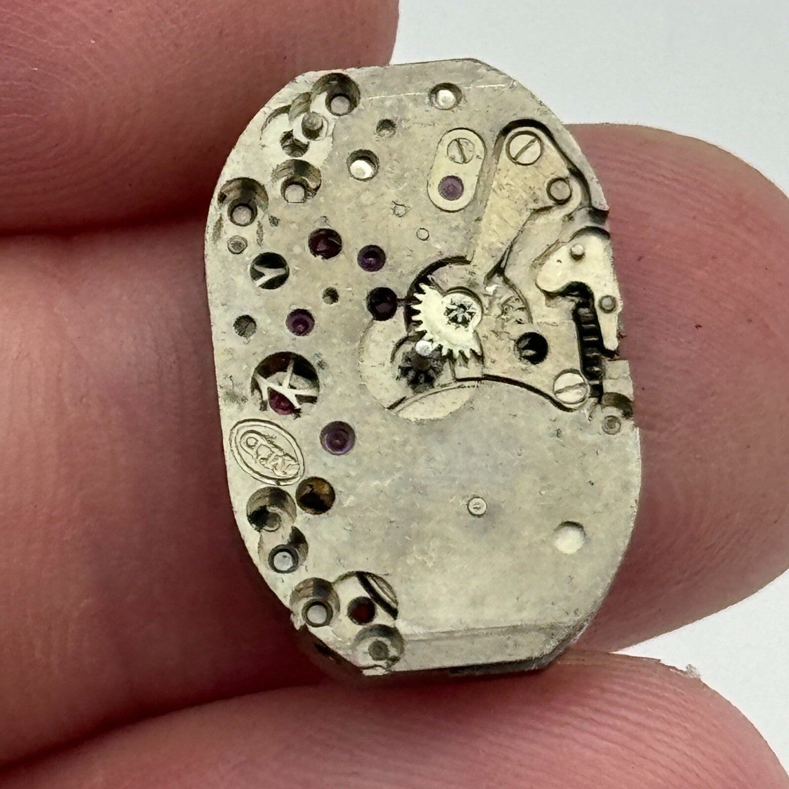 12.9mm Ladies Rotary AS 1051 A Schild Manual Wind Swiss Watch Movement PARTS