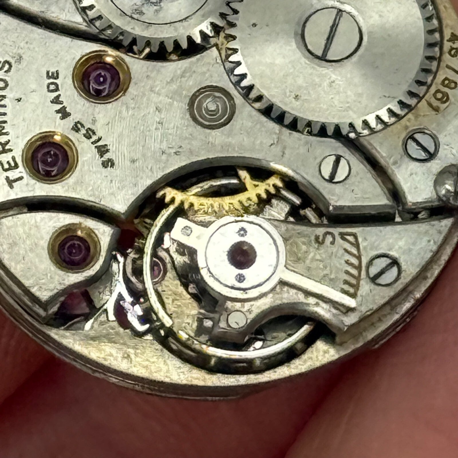 21.9mm Vintage Terminus High Grade Swiss Manual Wind Watch Movement PARTS