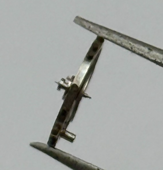 AS 1240 Balance Wheel Complete And Spring 8 3/4''' 49 M Watch Movement Parts NOS