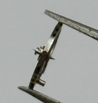 AS 1240 Balance Wheel Complete And Spring 8 3/4''' 49 M Watch Movement Parts NOS