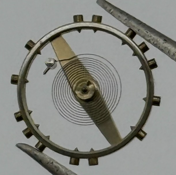 AS 1215 Balance Complete 10 1/2''' Inca Renata 1531 M Watch Movement Parts NOS