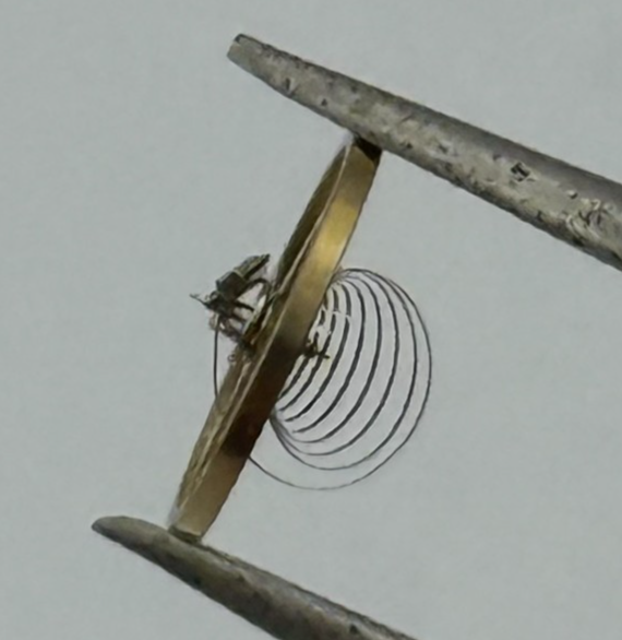 Felsa 4020 4025 Balance Wheel Complete And Spring 1437 M Watch Movement Parts 