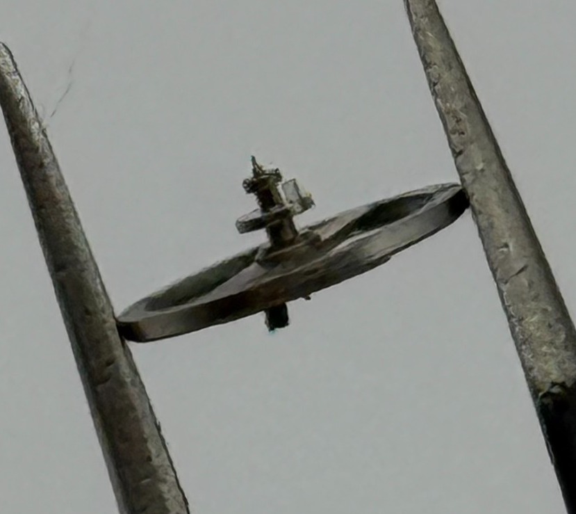 Brac 2021 Balance Wheel Complete And Spring 5¼’’’ 69 M Watch Movement Parts NOS