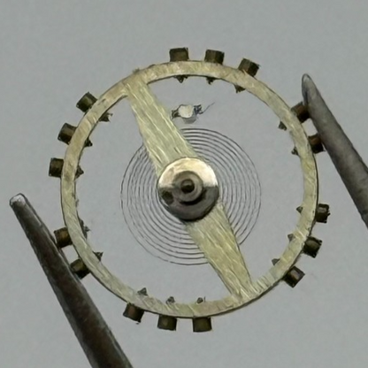 Derby 40 Balance Wheel Complete And Spring 8 3/4’’’ 102 M Watch Movement Parts
