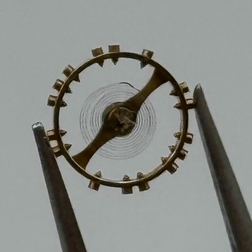 AS 976 1012 Balance Wheel Complete And Spring 29 M Watch Movement Parts NOS