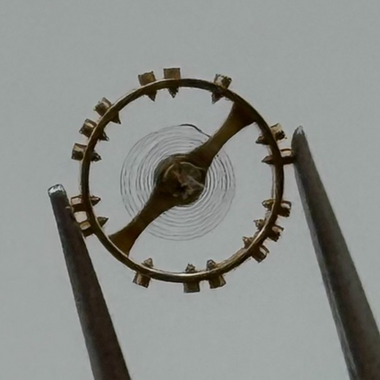 AS 976 1012 Balance Wheel Complete And Spring 29 M Watch Movement Parts NOS