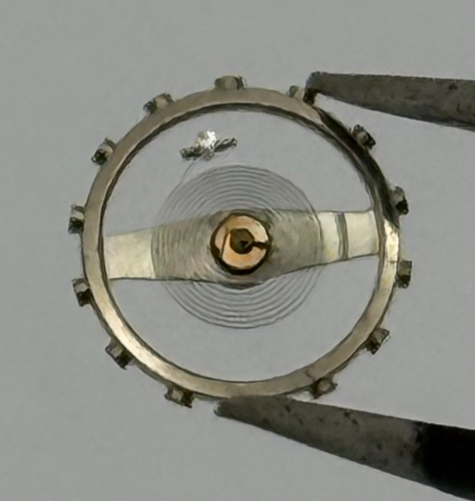 Brac 2021 2051 Balance Wheel Complete And Spring 69 M Watch Movement Parts NOS