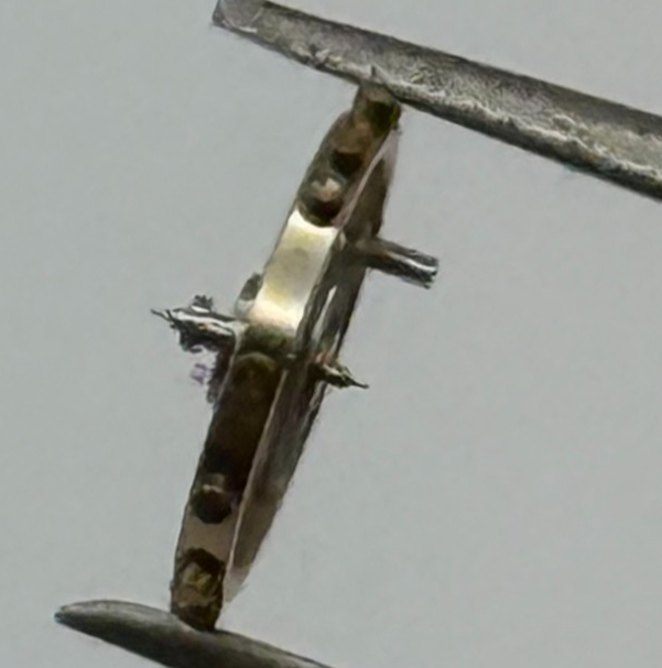 AS 1677 Balance Wheel Complete And Spring  5½’’’ 1225 M Watch Movement Parts NOS