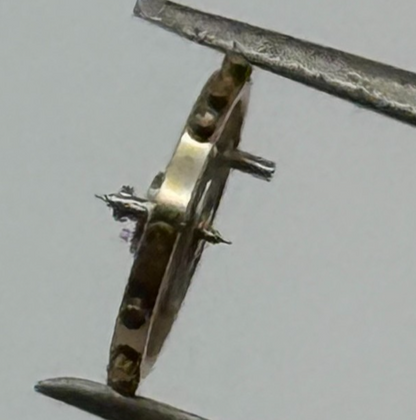 AS 1677 Balance Wheel Complete And Spring  5½’’’ 1225 M Watch Movement Parts NOS