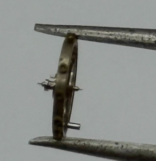 AS 976 1012 Balance Wheel Complete And Spring  532 M Watch Movement Parts NOS