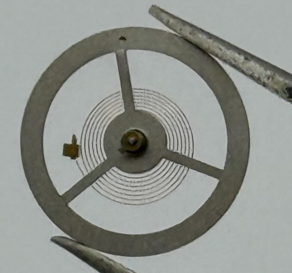 EB 8800 Balance Wheel Complete And Spring 12’’’ 1309 Watch Movement Parts NOS