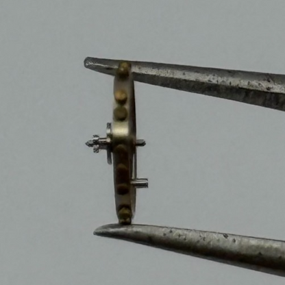 AS 976 1012 Balance Wheel Complete And Spring 29 M Renata Watch Movement Parts